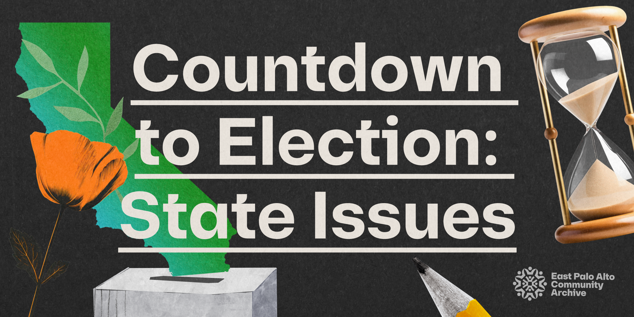 Countdown to Election: State Issues